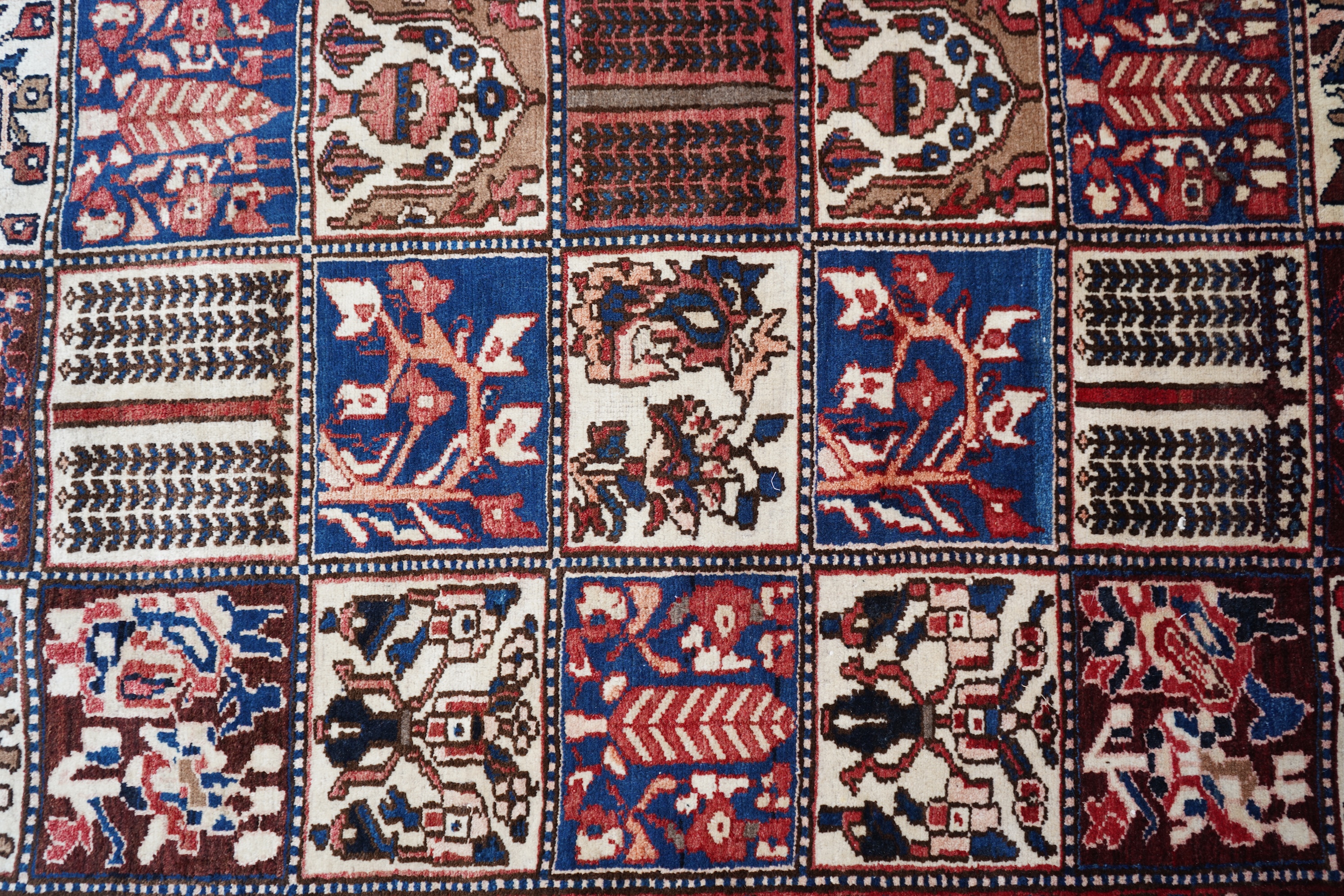 A Baktiari carpet